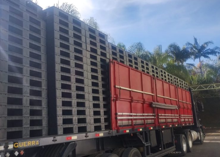 Imagem do WhatsApp de 2025-08-14 à(s) 15.01.08_42b7ae80